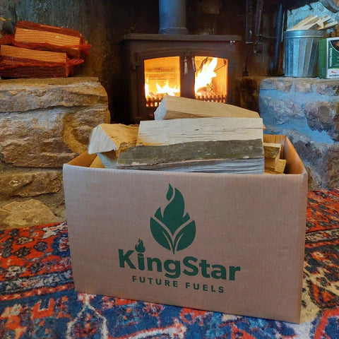 Why Birch Firewood is the Ideal Choice For a Wood Burner